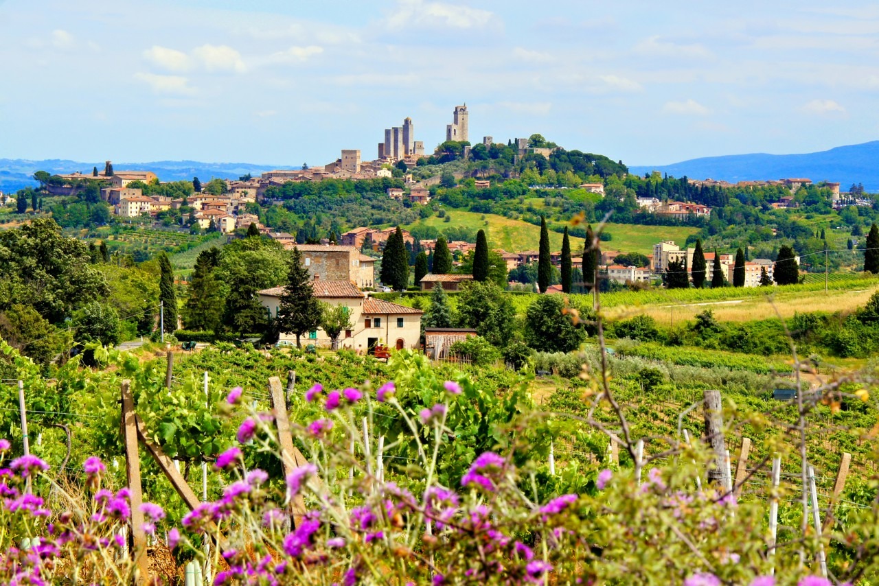 Under-the-Tuscan-Sun-4-1-1.jpg