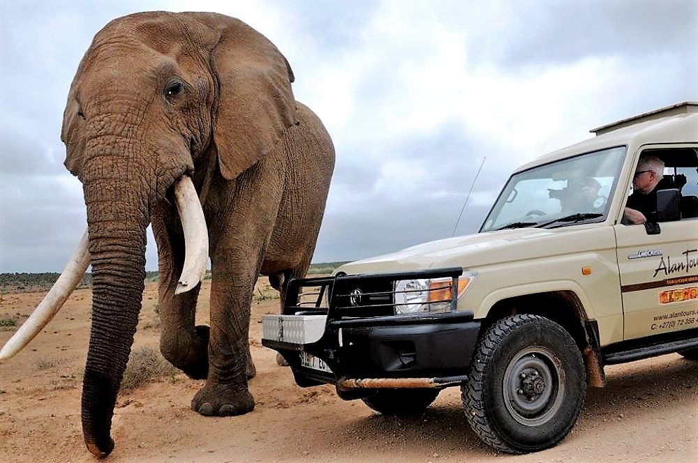 Alan_Tours_-_4x4_safaris__Addo_Elephant_National