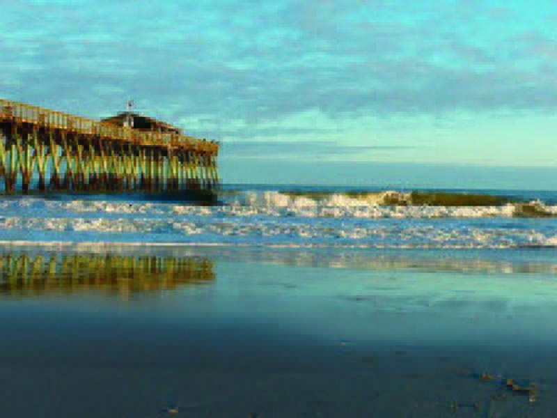 myrtle-4