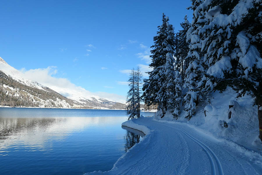 Switzerland-2