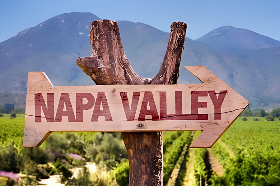 Cozy Napa-2