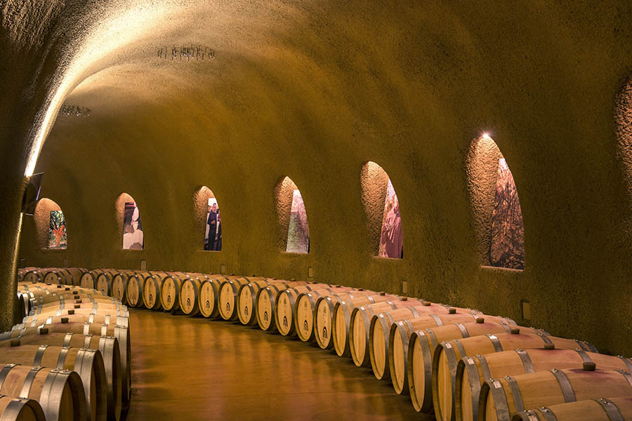 Cozy Napa-5
