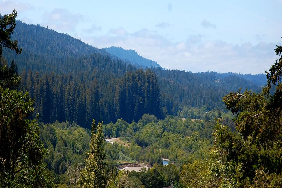 Image11