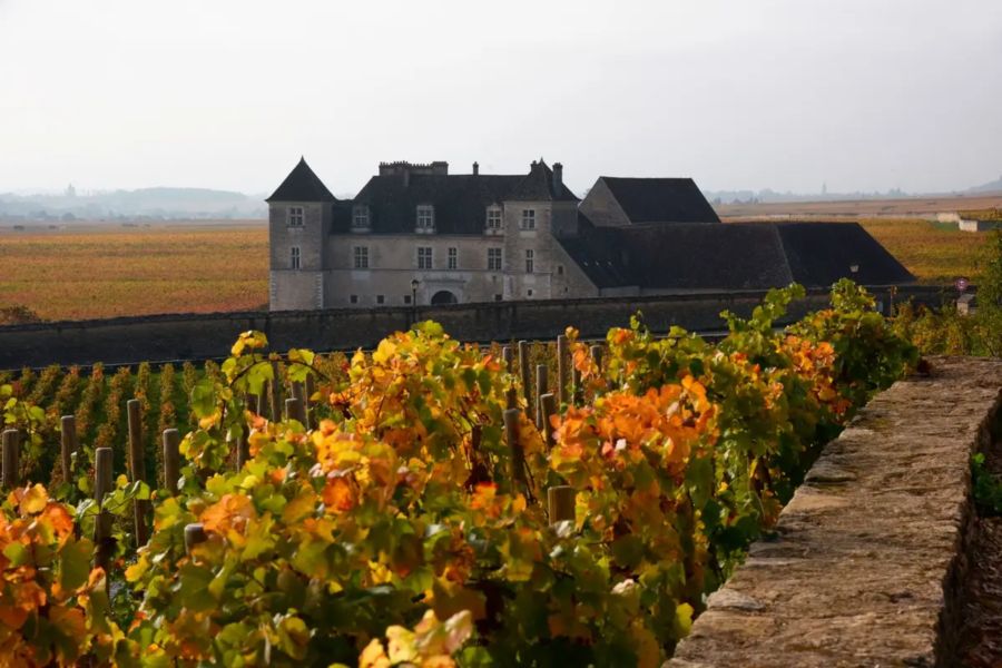 i2013-dle-france-fairytale-burgundy-escape-for-2-image_5-1.jpg